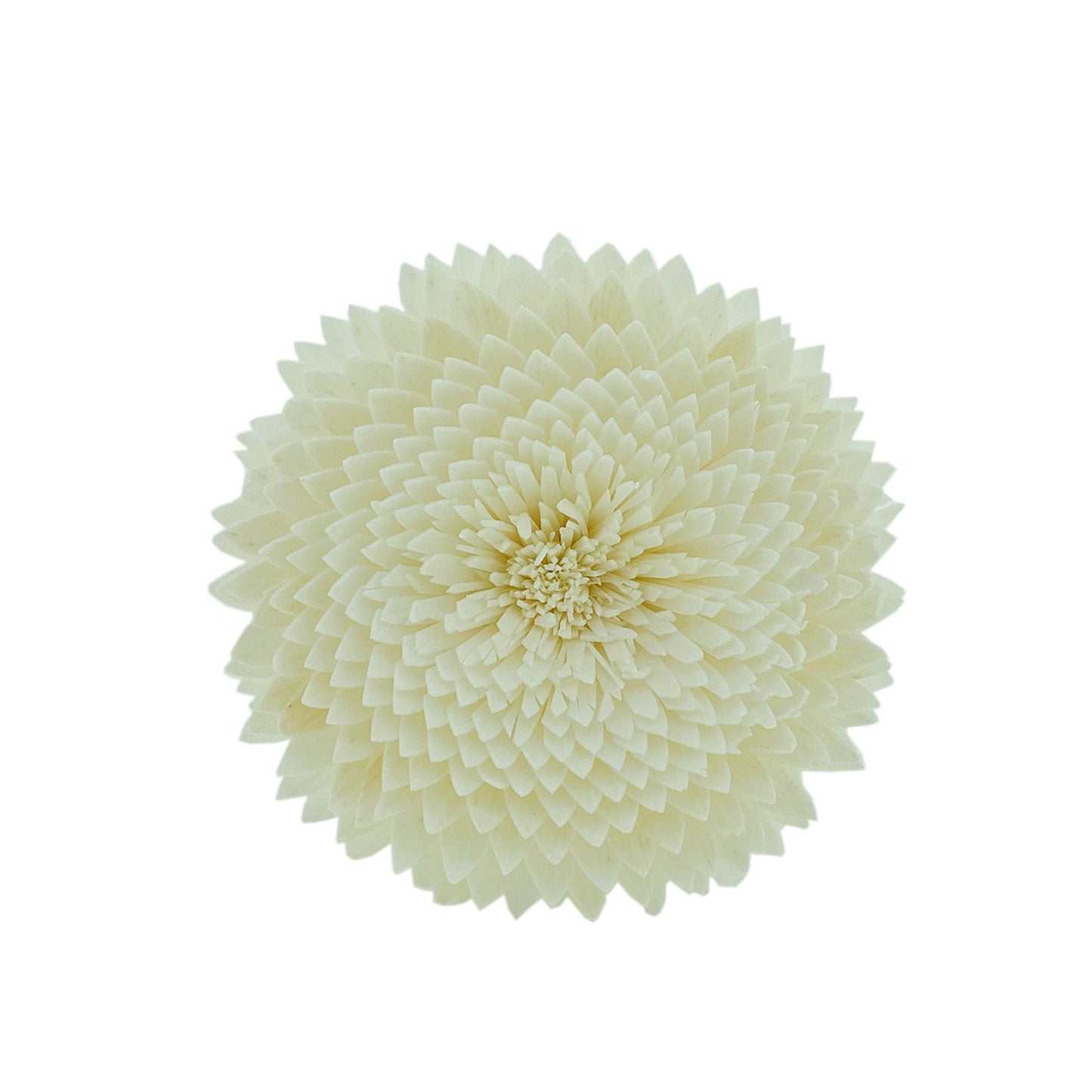 Chrysanthemum Flower Diffuser Reed + Bottle