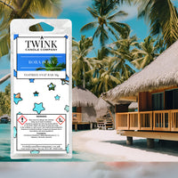 Bora Bora inspired soy wax melt snap bar by Twink Candle Company, with thatched overwater huts and palm trees