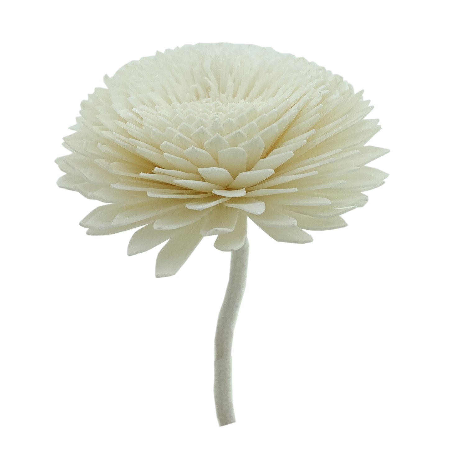 Chrysanthemum Flower Diffuser Reed