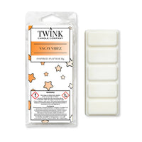 Vacay Vibez inspired 50g soy wax melt snap bar in its packet beside the unwrapped bar and its five break-apart segments